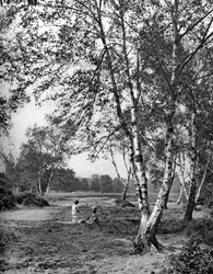 Putney Heath, London