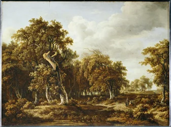 The Oak Forest