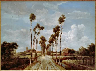 The Avenue at Middelharnis
