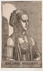 Portrait of the Sultana, Half Profile to the Right: ZELOME SVLTANE