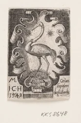 The Crane