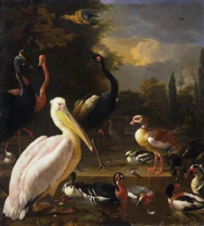 A Pelican and Other Birds Near a Pool, Known as 