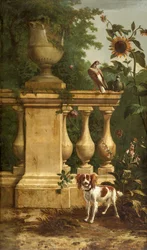 Pigeons and a Dog in a Garden, c1660-1690