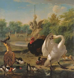 A Park with Swan and Other Birds