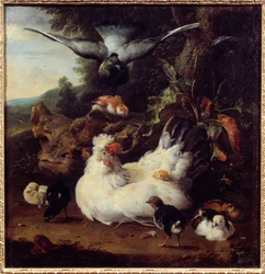 A Hen and Her Chicks