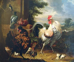 Farmyard Fowl