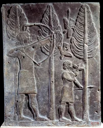 Bird hunting scene