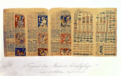 Copy of a Fragment of the Dresden Codex Showing Mayan Astronomical Calculations
