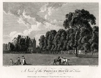 A View of the Prince