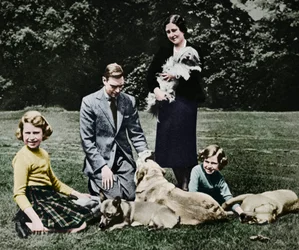Royal Family as a Happy Group of Dog Lovers