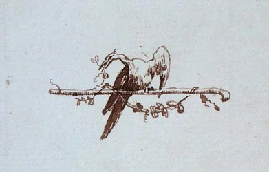 Drawing from Michael Faraday