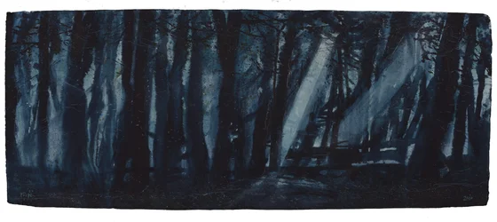 Moonlit Woods