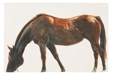Untitled, 2018