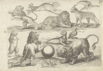 Study Sheet with Drawing Examples: Various Animals