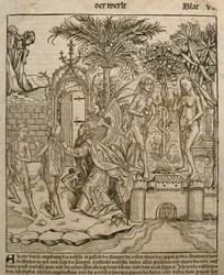 Adam and Eve, Illustration from the 