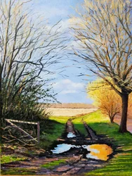 Puddle on the Path