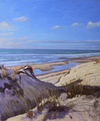The Atlantic Coast Dunes