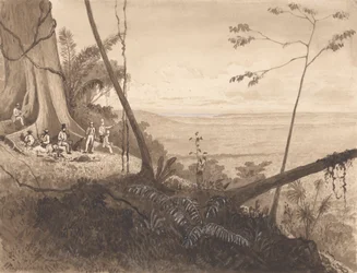 Cedar Point, Mount Tamana