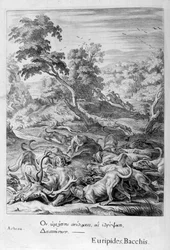Actaeon Turned into a Stag and Devoured by His Hounds