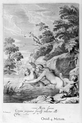 The Nymph Salmacis and Hermaphroditus