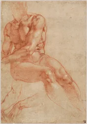 Seated Young Male Nude and Two Arm Studies (recto), c. 1510-11