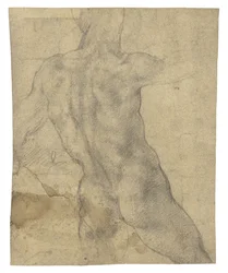 A Male Nude Seen from Behind