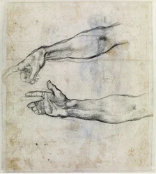 Arm (detail)