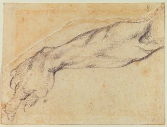 Arm study for a Sistine figure