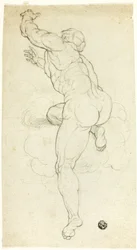 Ascending Male Nude