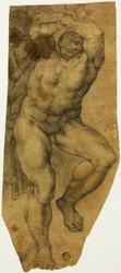 Ascending Male Nude