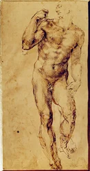 Study of a Standing Nude Man
