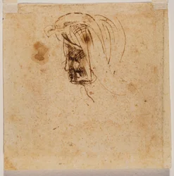 Female head
