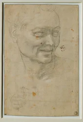 Head and Right Hand of the Ignudo Above and to the Left of Isaiah