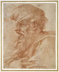 Head of a Bearded Man Shouting, c.1525