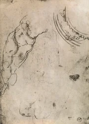 Male Legs