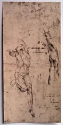 Naked man, arm study