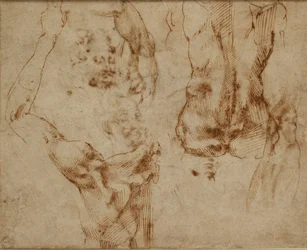 Nude Studies, c. 1490-1560
