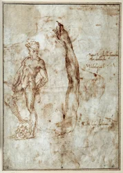 Nude Study. Michelangelo Buonarroti known as Michelangelo