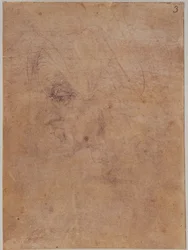 Profile of an old woman