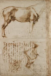 Studies of a Horse and of a Horseman attacking Foot-soldiers, early 16th century