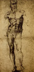Study for a Male Nude