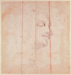Study for the Head of the Libyan Sibyl