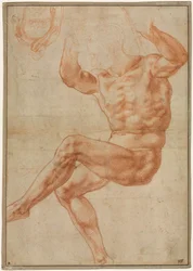 Study for the Nude Youth over the Prophet Daniel (recto)