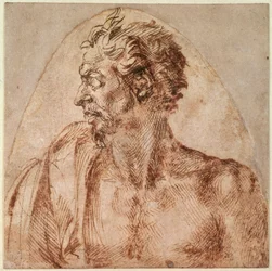 Study of Head and Shoulders
