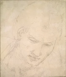 Study of a Head