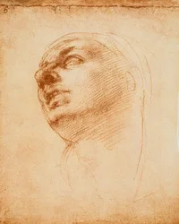 Study of a face