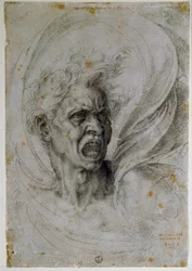 Studying the head of a screaming man