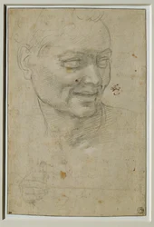 Head and Right Hand of the Ignudo Above and to the Left of Isaiah, Sistine Chapel Ceiling