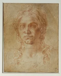 Ideal Head of a Woman
