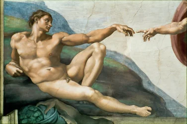 The Sistine Chapel; Ceiling Frescos (after restoration)